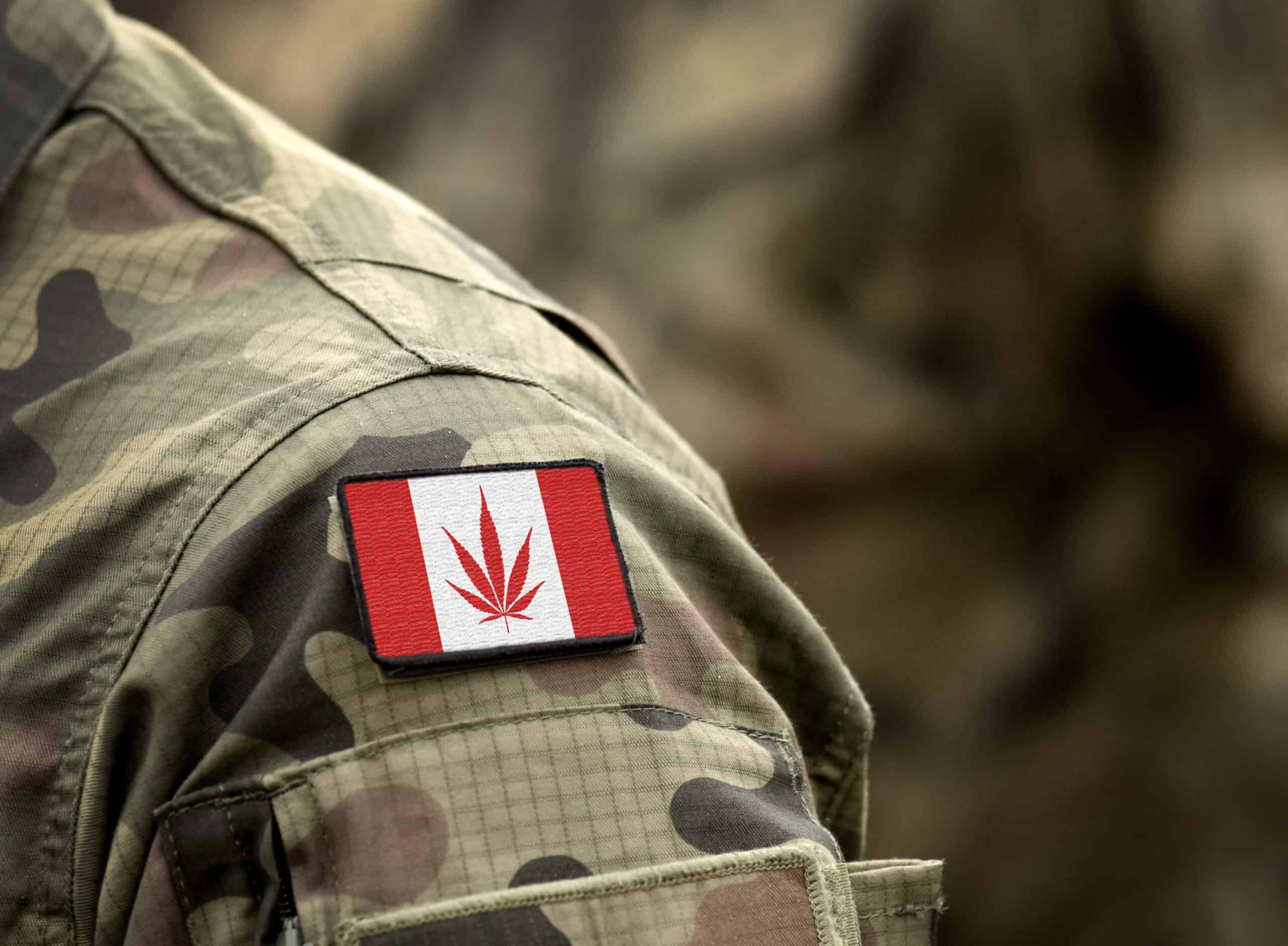 canadian veteran cannabis