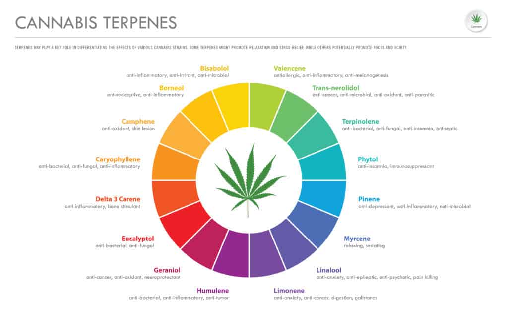 Cannabis terpenes
