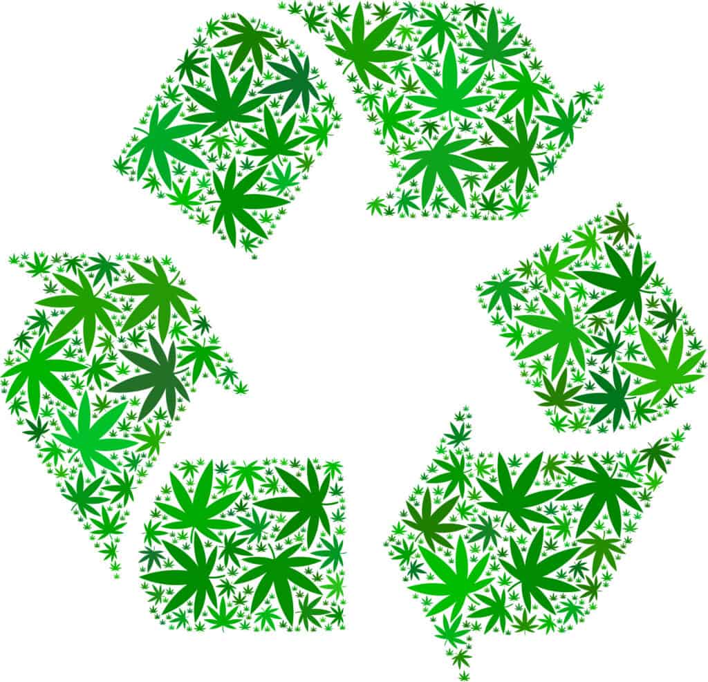 sustainable cannabis