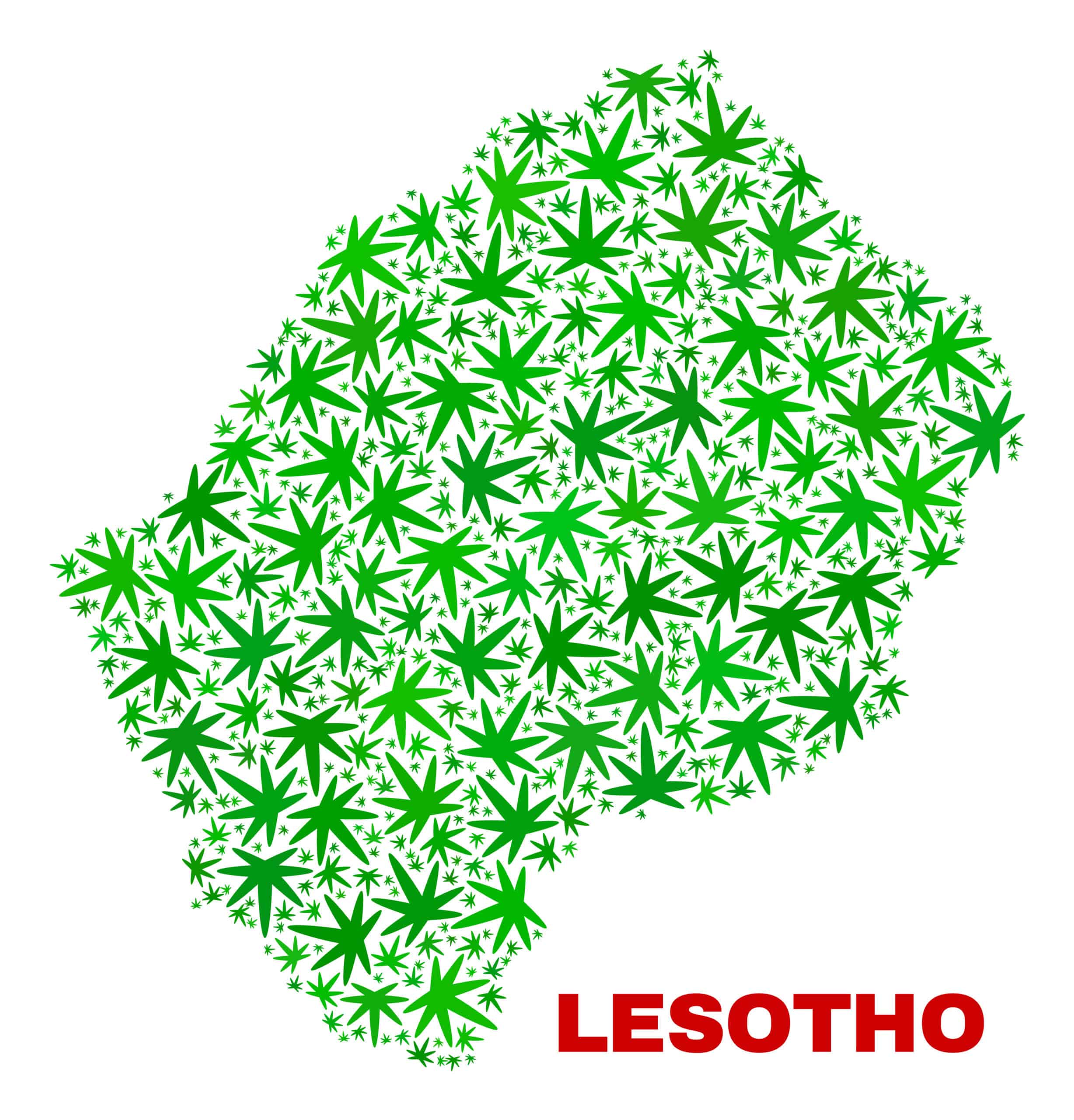 Lesotho cannabis