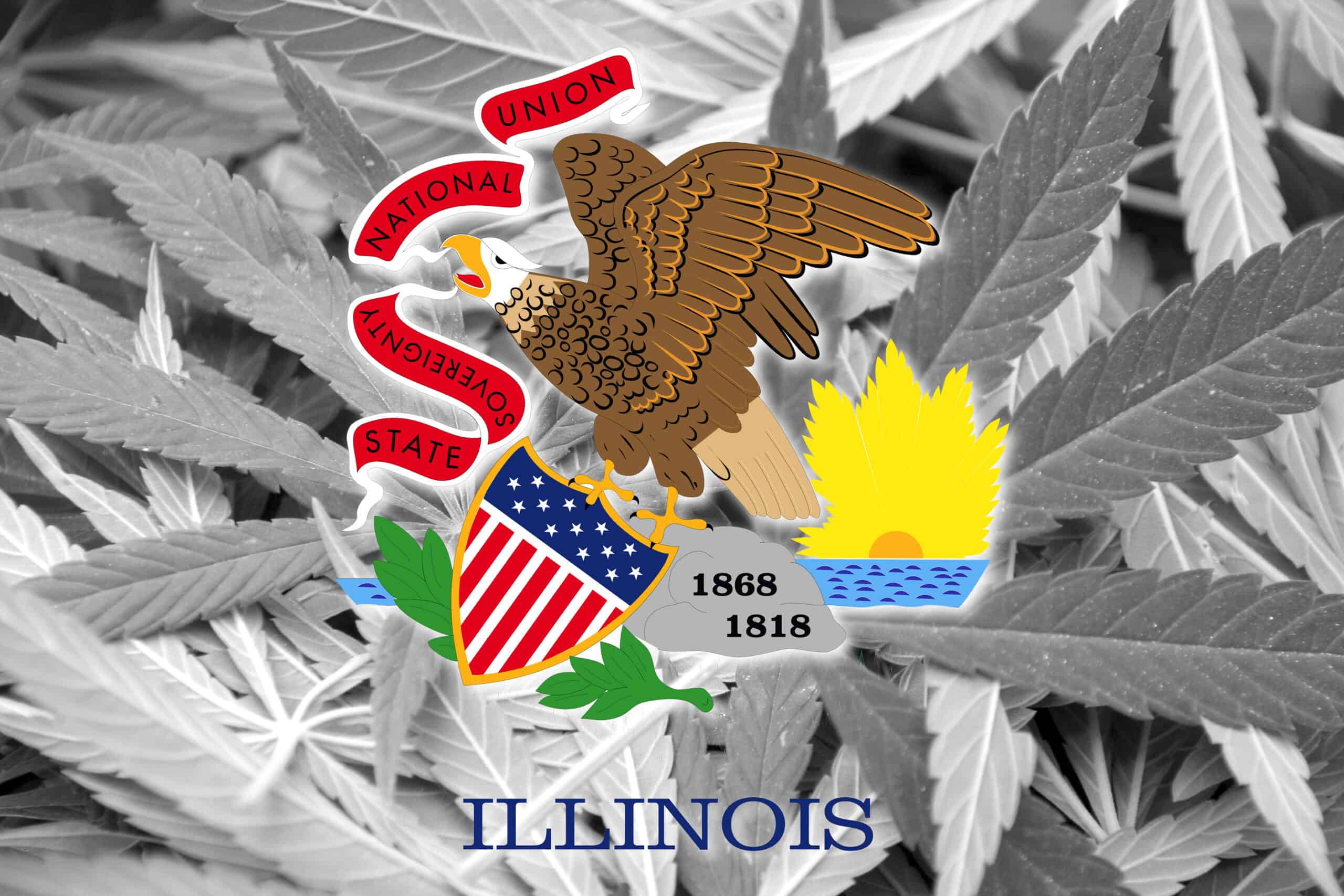 Illinois cannabis industry