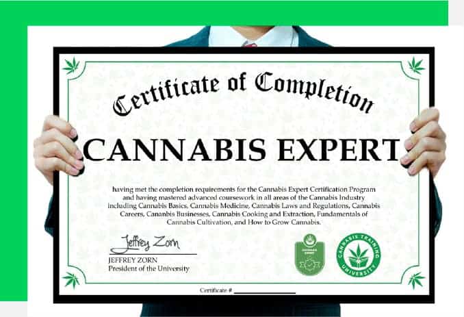 cannabis education diploma