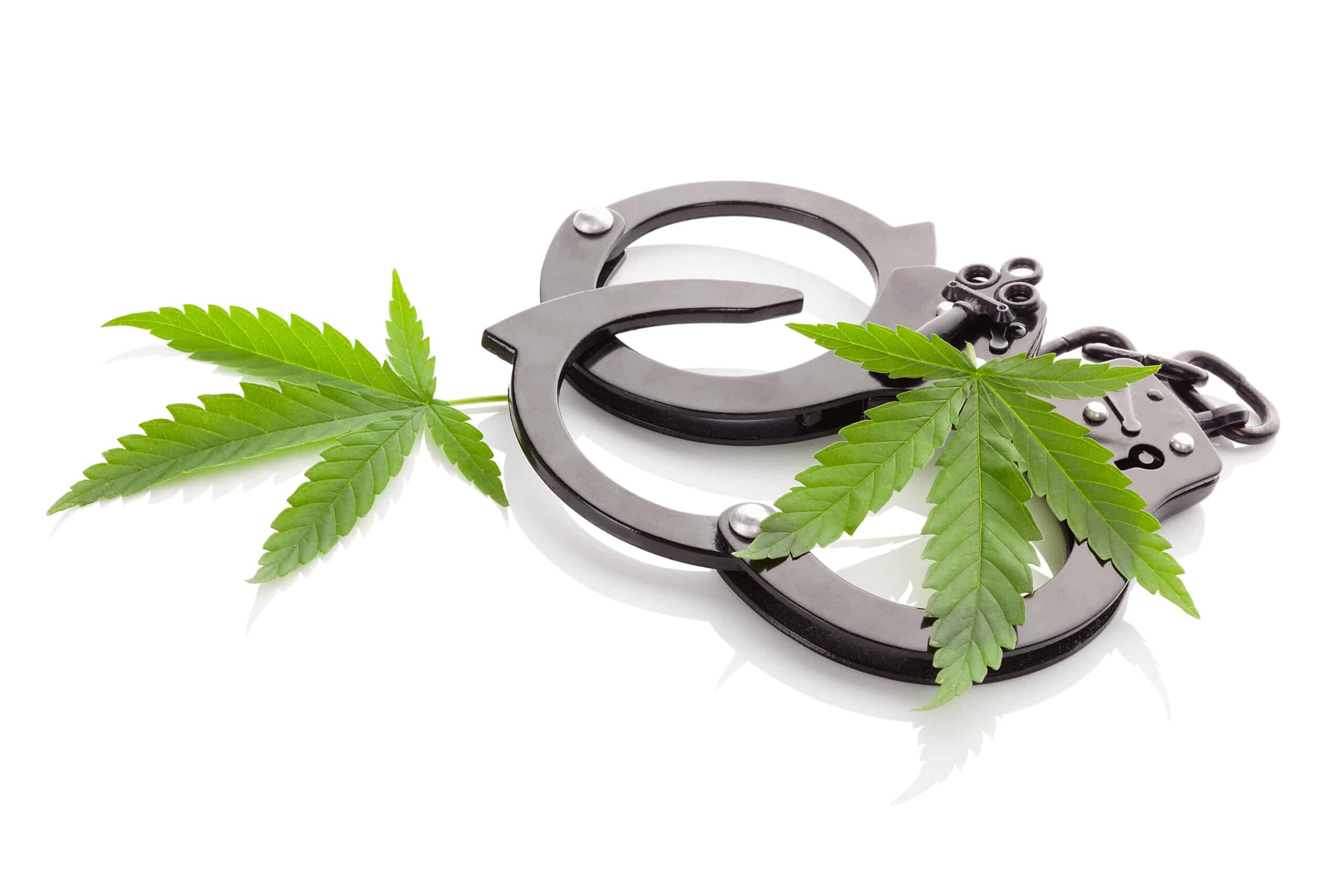 cannabis prisoner letter