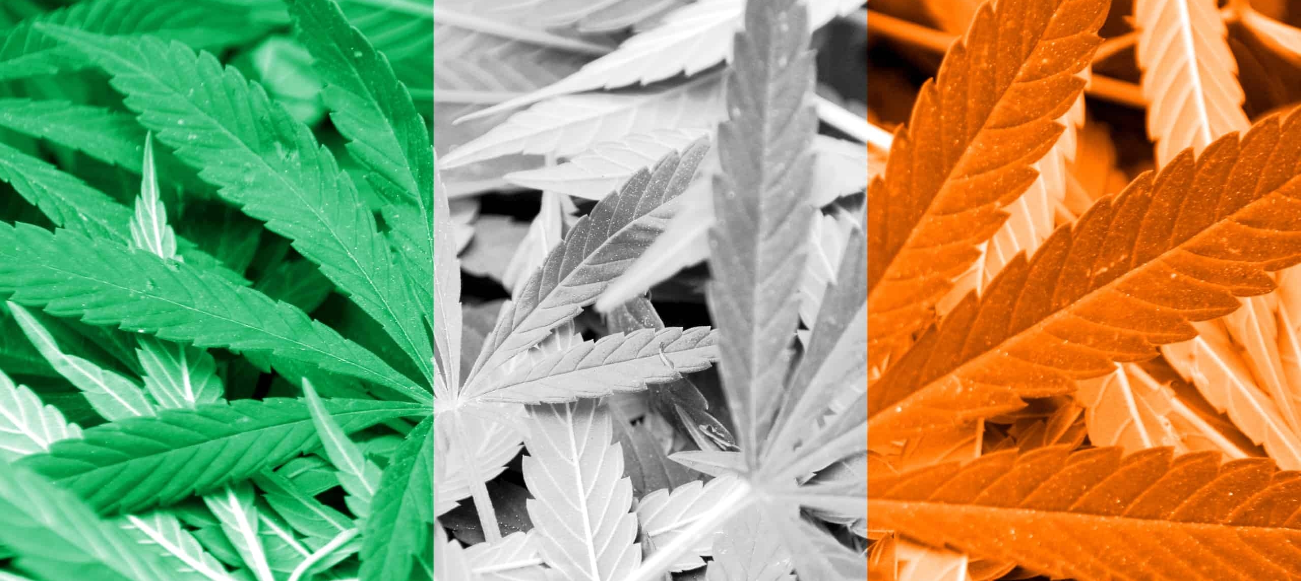 cannabis in ireland