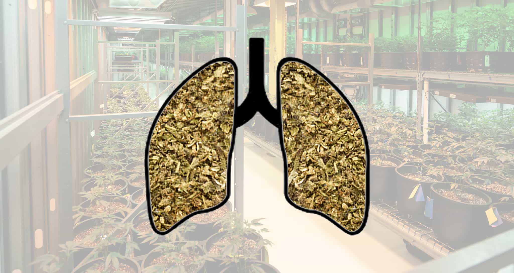 green lung